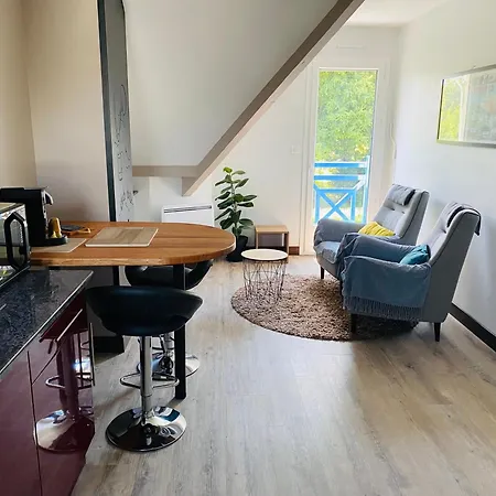 Apartment Chez Pat Et Olive - 2 Personnes- Bagneres De Bigorre