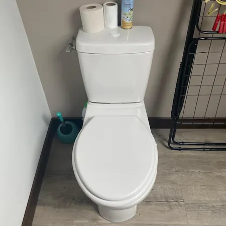 Apartamento Chez Pat Et Olive - 2 Personnes- Bagneres De Bigorre