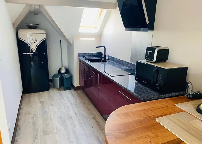 Chez Pat Et Olive - 2 Personnes- Bagneres De Bigorre Apartamento *