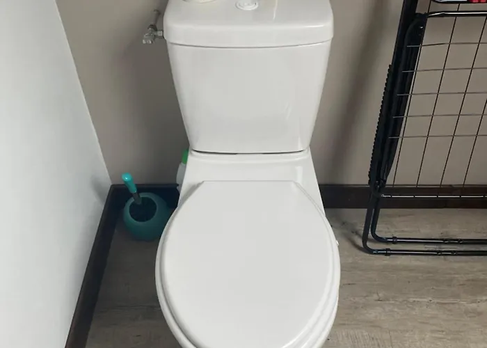 شقة Chez Pat Et Olive - 2 Personnes- Bagneres De Bigorre